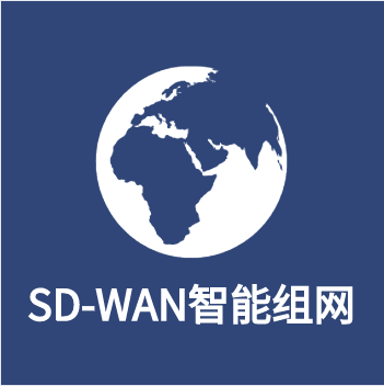 SD-WAN智能組網(wǎng)