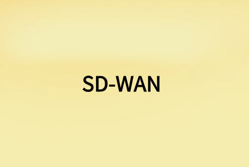 哪個(gè)SD-WAN?