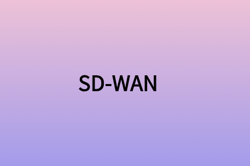 安全SD-WAN如何為企業(yè)提供較好網(wǎng)絡(luò)連接?