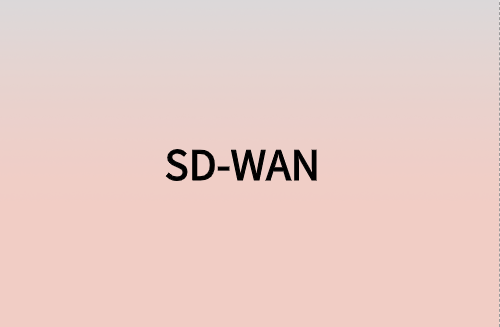 對企業(yè)而言，SD-WAN意味著什么?