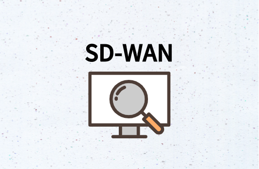 誰(shuí)使用SD-WAN?